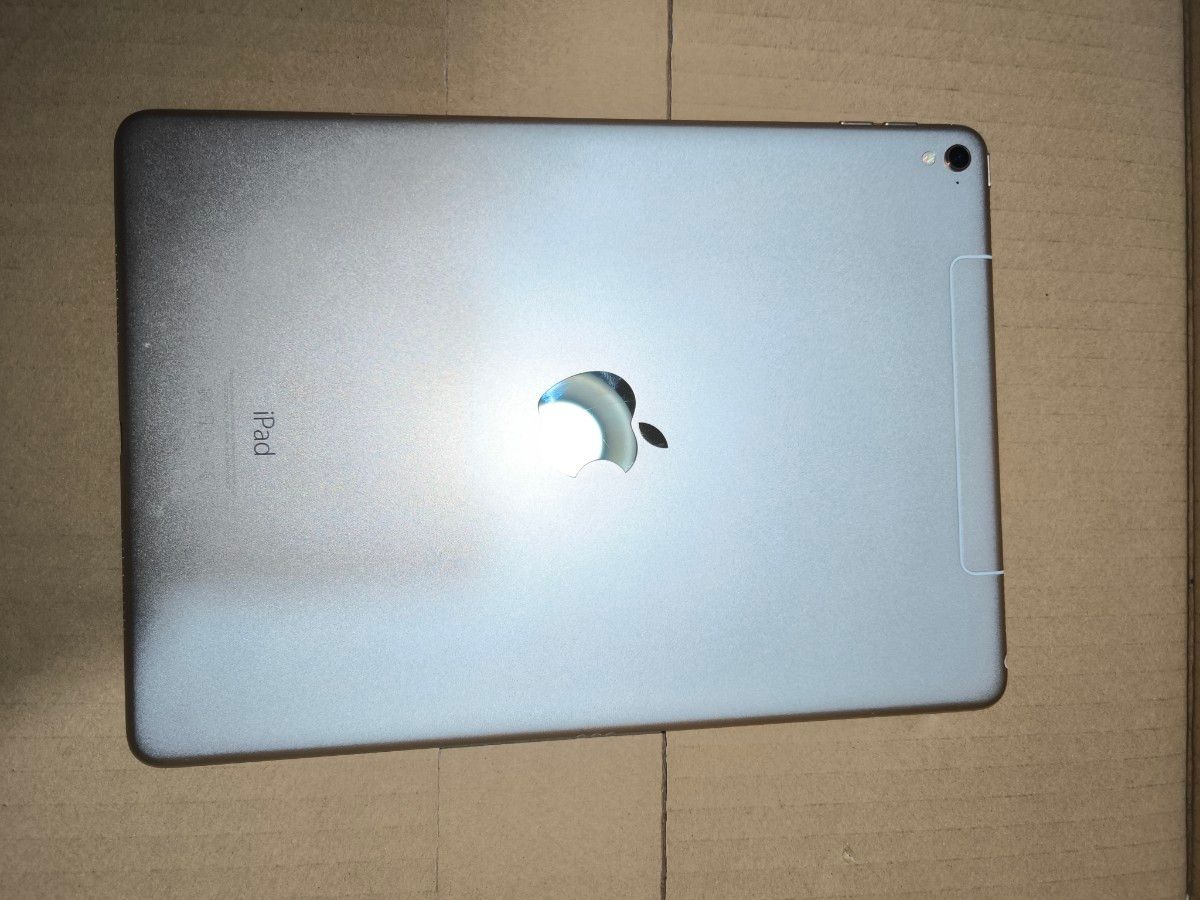 iPad Pro 9 7インチ バッテリー98%美品 充電回数101 A1674 iPad Pro 9 7インチ バッテリー98%美品 充電回数101 A1674