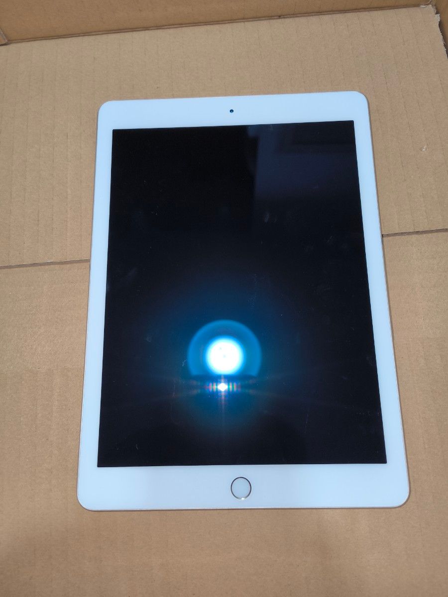 iPad Pro 9 7インチ バッテリー98%美品 充電回数101 A1674 iPad Pro 9 7インチ バッテリー98%美品 充電回数101 A1674