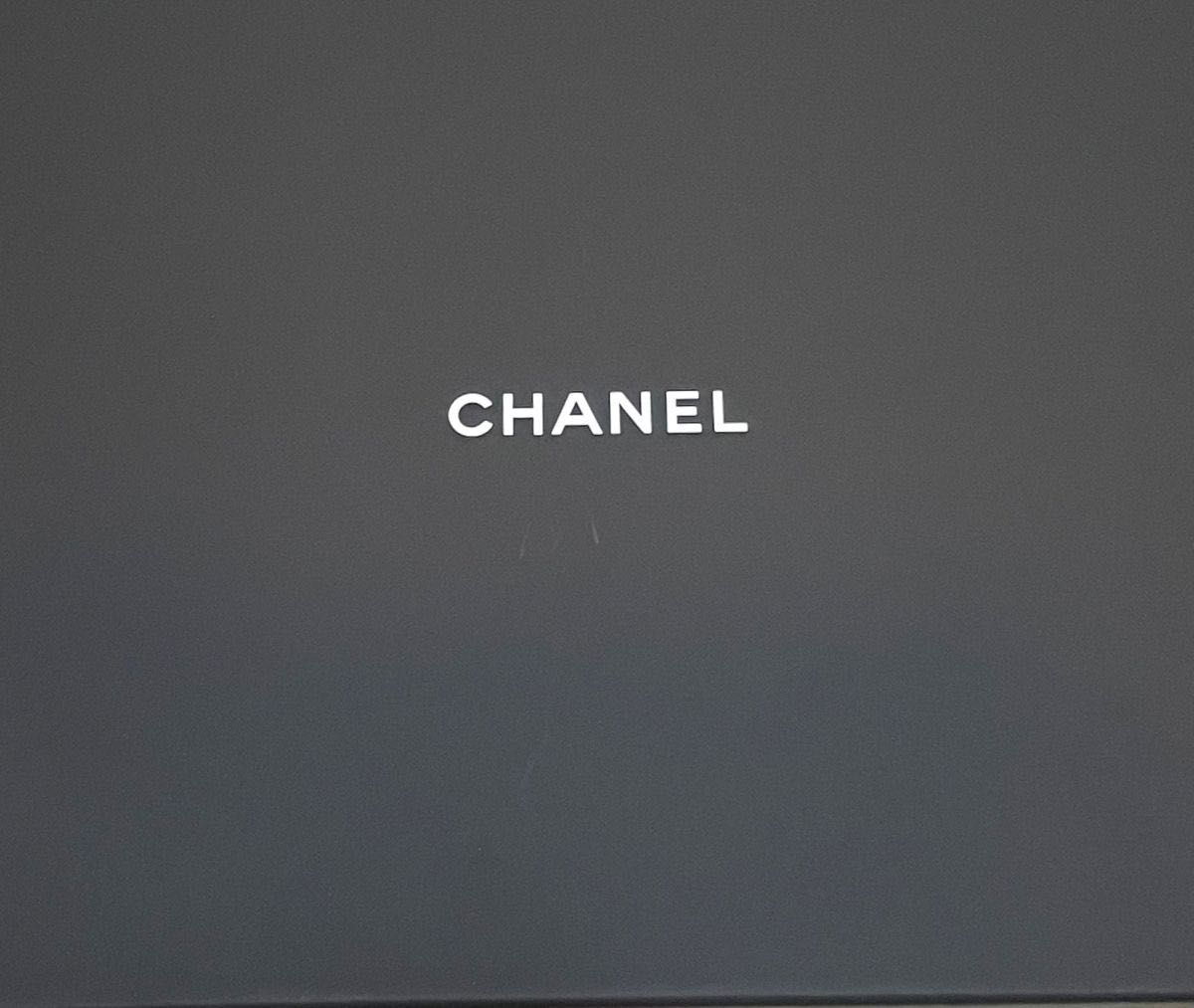 【正規品】　CHANEL シャネル　24C クルーズ　マフラー　ストール　ココマーク　新品　未使用　限定　完売品　ホワイト　白　箱