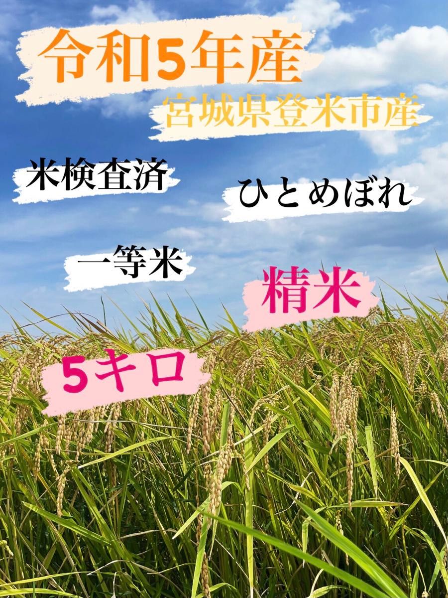 白米　精米　令和5年産　一等米　5キロ　宮城県登米市中田町　ひとめぼれ