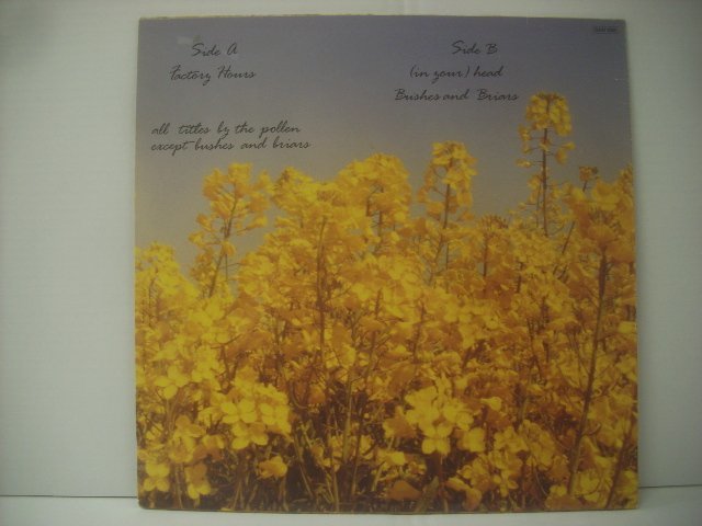 ■ 輸入FRANCE盤 12インチ 　THE POLLEN　/ FACTORY HOURS ポーレン ファクトリーアワーズ 1989年 12 DAN 017 ◇r60229_画像2