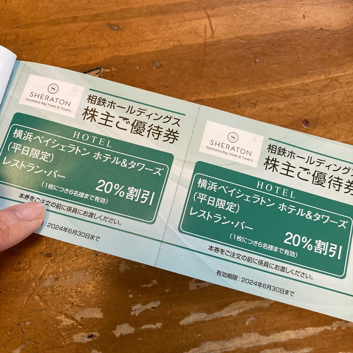 相鉄 株主優待乗車証 6枚 優待冊子 1冊 相鉄ホールディングス _画像9