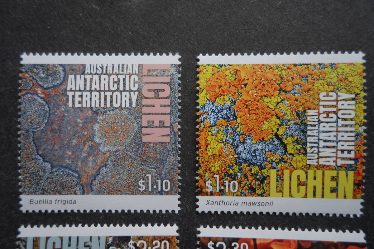 外国切手： 豪領南極地方切手「地衣類」 4種完 未使用_画像2