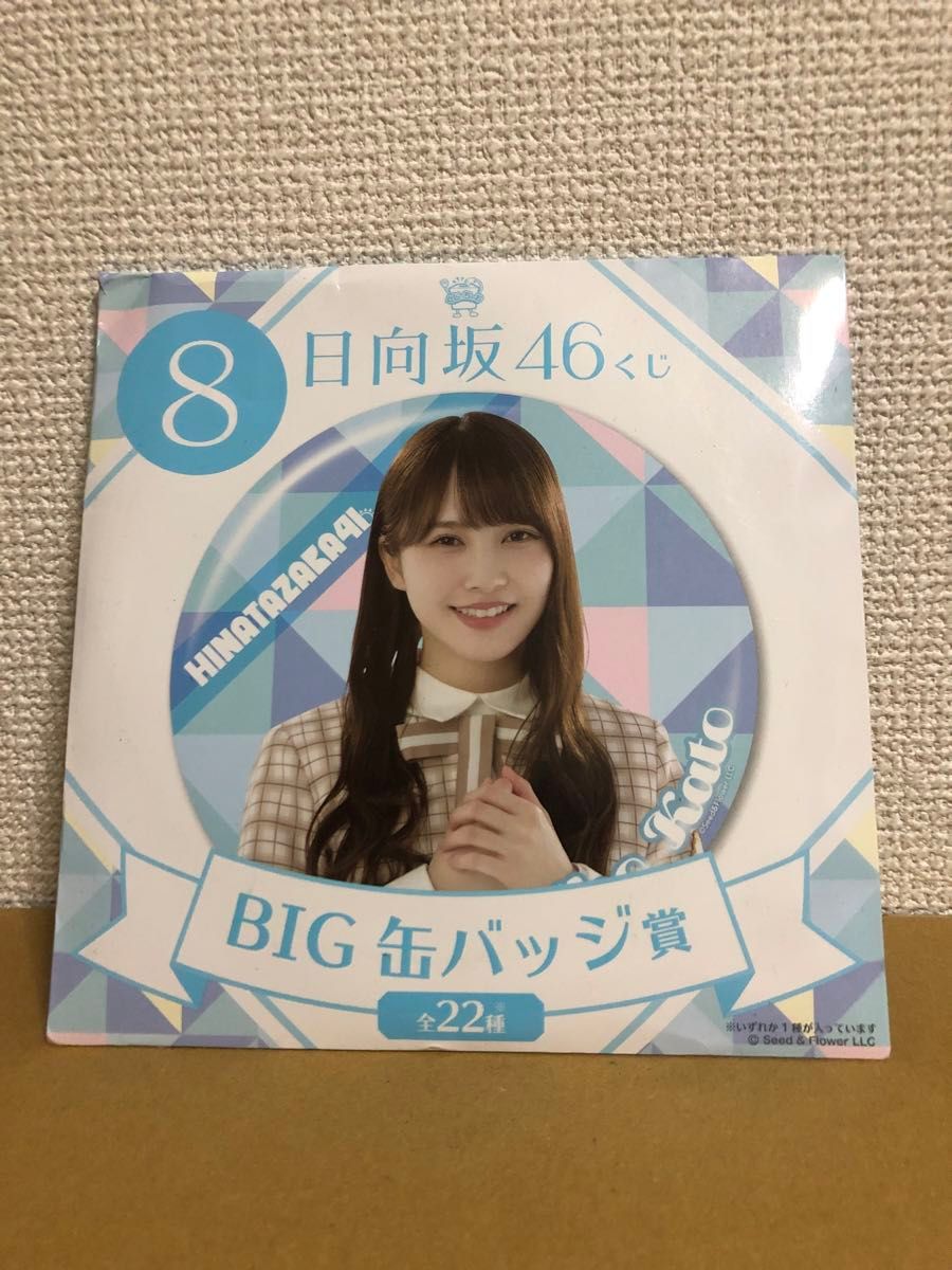 日向坂46 小坂菜緒 BIG缶バッジ