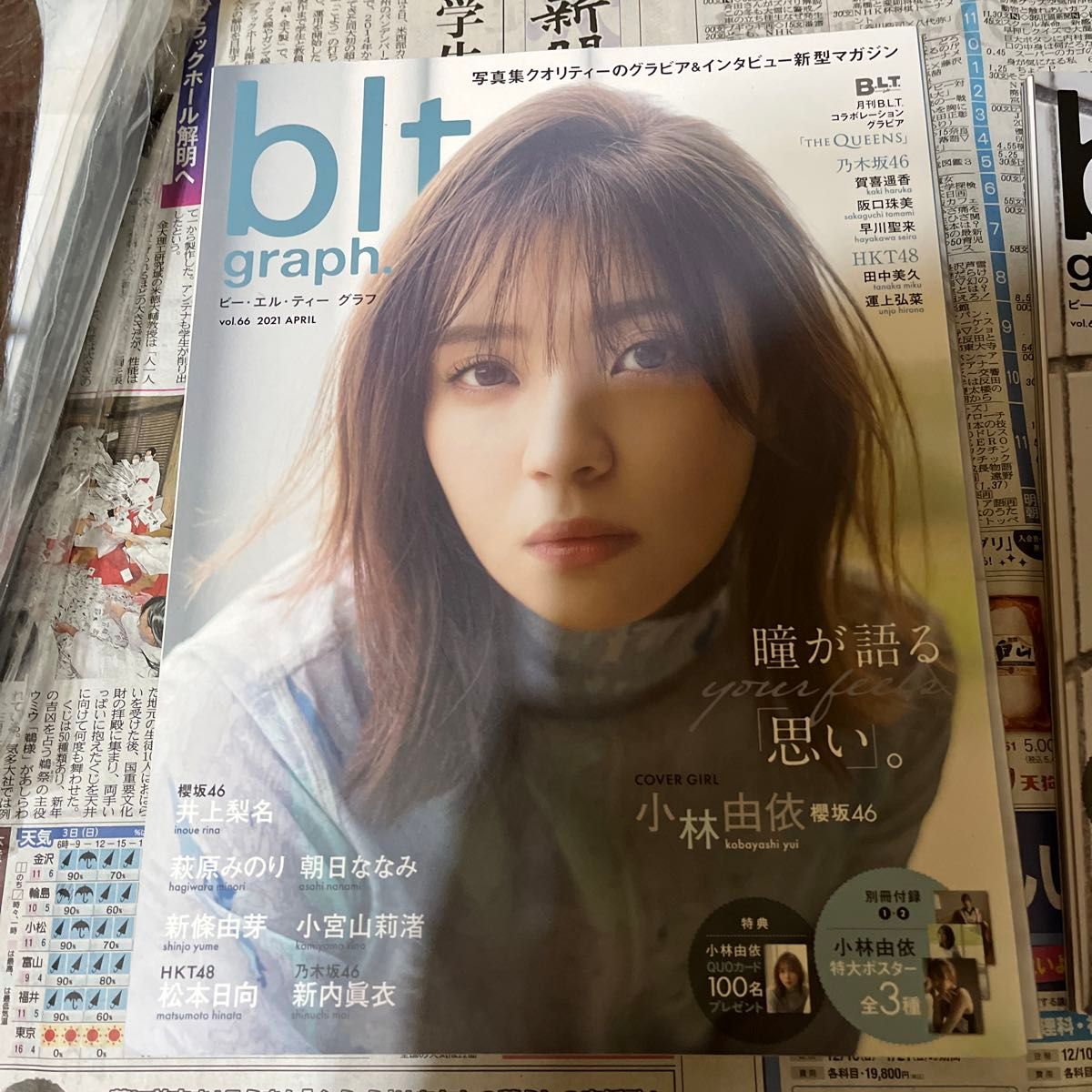 blt graph 小林由依