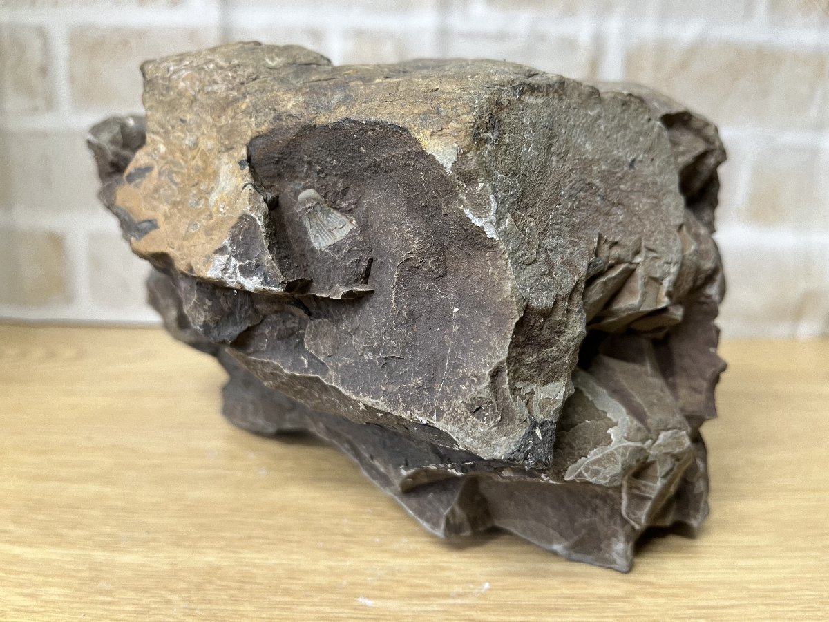 ■ アンモナイト 集合体 化石 穂別 サイズ約13×17×15㎝ 重量 約4.8Kg (A-9) ★_画像4