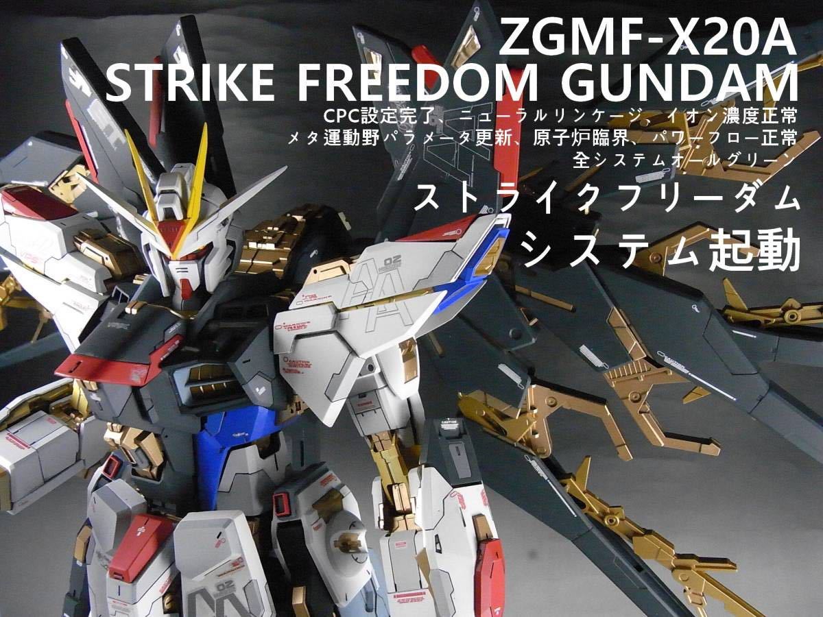 Yahoo!オークション - PG 1/60 ストライクフリーダムガンダム Yahoo!オークション - PG 1/60 ストライクフリーダムガンダム