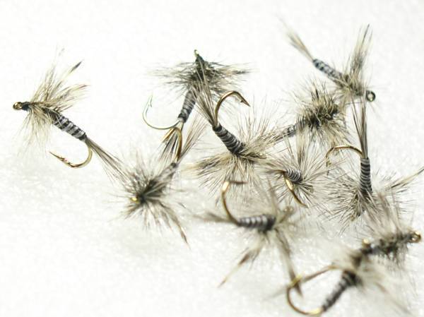 完成品フライ Dry Midge Mosquito 　ミッジ モスキート 10本 #20