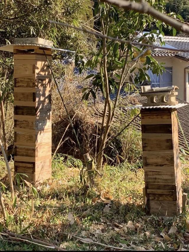 日本蜜蜂の巣の搾りかす３００g_画像6