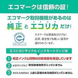 ◆送料無料◆大容量タイプ◆キヤノン BC-341XL 互換リサイクルインクカートリッジ カラー エコリカ Ecorica ECI-C341XLB-V