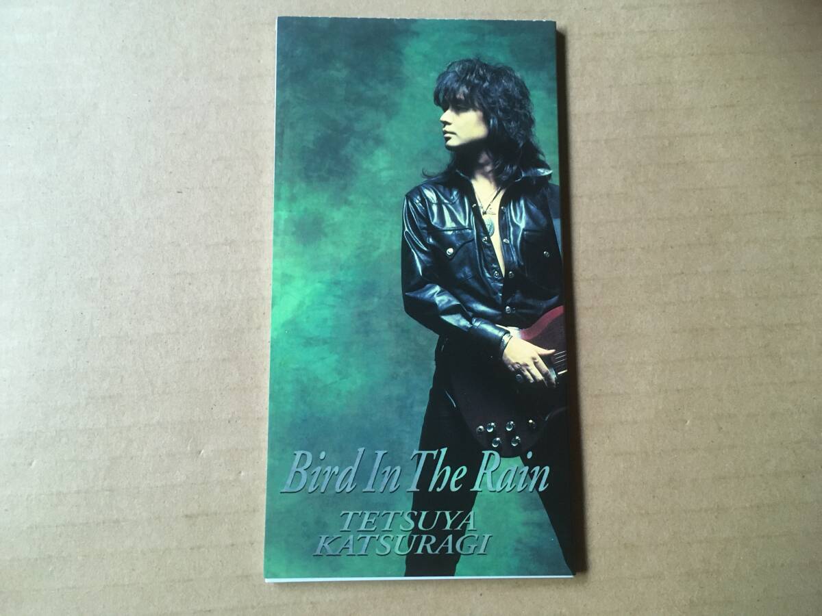 葛城哲哉 (ex.T.V./TV-WILDINGS)●8cm CDシングル[ Bird In The Rain ]●田口俊,西平彰,TMN サポートギタリスト_画像1