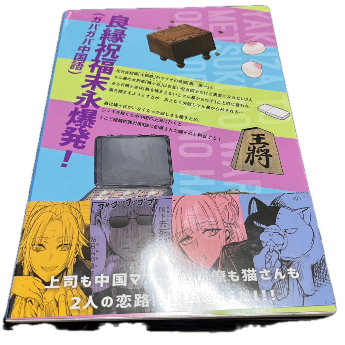 ヤクザと目つきの悪い女刑事の話2 同人誌版