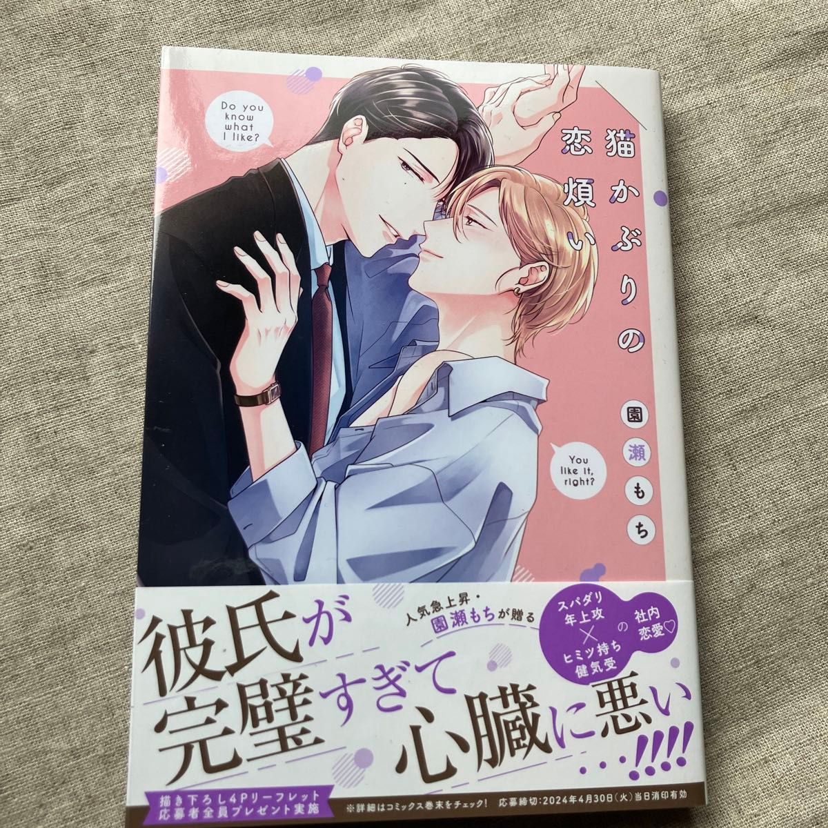 園瀬もち「猫かぶりの恋煩い」「シークレットアフター」2冊セット