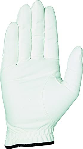  Kasco (Kasco) Golf glove synthetic leather DNA SUEDE SF-2010R right hand have on model 