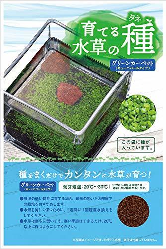 ニッソー 育てる水草の種育成プレートセットGC_画像3