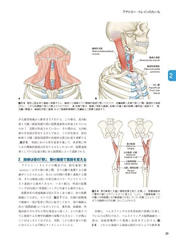 アナトミー・トレイン 第4版 Web動画付 徒手運動療法のための筋膜経線_画像5