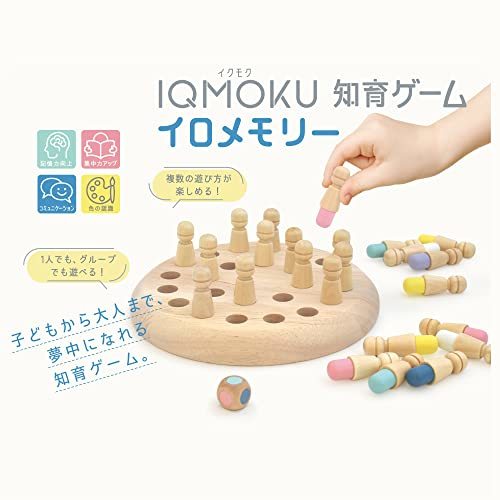 tebika training puzzle ikmok intellectual training game iro memory 113009