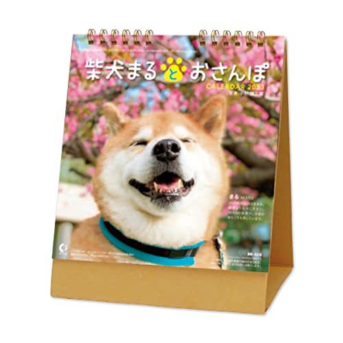 新日本カレンダー 卓上 柴犬まるとおさんぽ 2023年 カレンダー 卓上 CL23-0393 白_画像1
