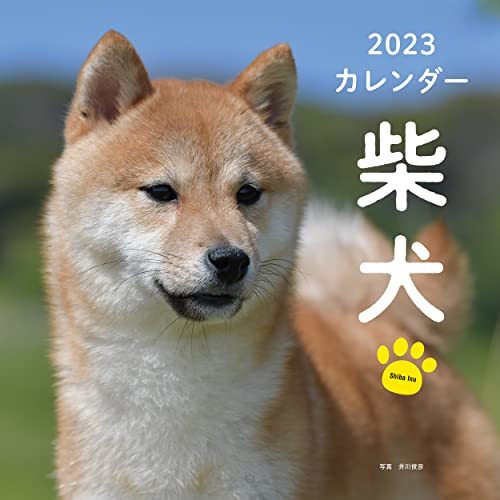 2023年カレンダー 柴犬 (誠文堂新光社カレンダー)_画像1