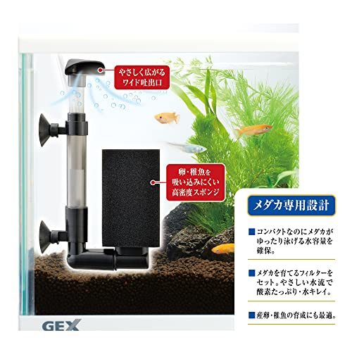 ジェックス GEX メダカ元気 メダカのための水槽セット200CUBE メダカ専用設計 産卵・稚魚育成_画像3