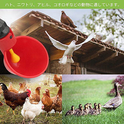 10個入り 家禽用自動給水器 鳥 鶏 鳩 給水器 ドリンカー フィーダー 自動水飲み プラスチック製 簡単 水量調節可_画像5