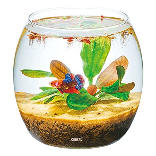 GEX AQUARIUM グラスアクア ドロップ-N アクアリウム 小型水槽 水草 テラリウム_画像3