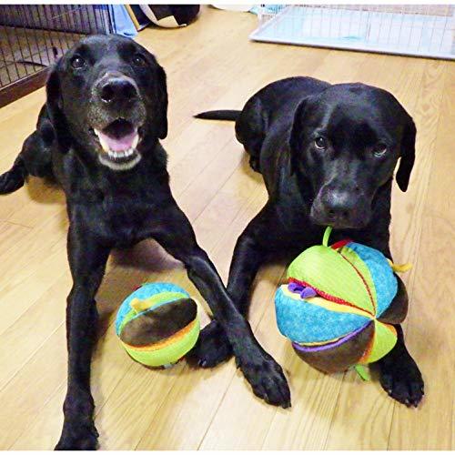 PLATZ PET SUPPLIES & FUN 犬用おもちゃ サーカスボール L サイズ_画像5