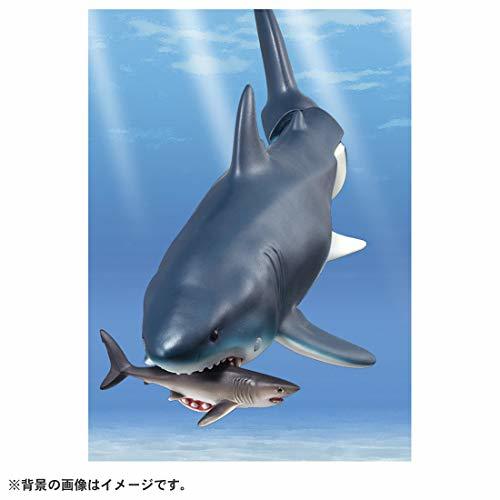 タカラトミー アニア AL-11 メガロドン (水に浮くVer.) 動物 恐竜 おもちゃ 3歳以上