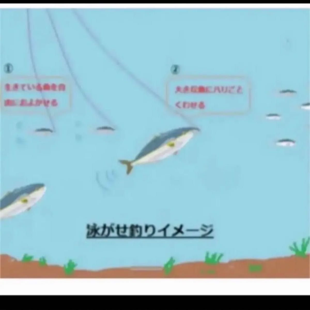 泳がせ仕掛け☆ヒラメ用仕掛け☆10本セット☆青物や根魚にも。ヒラメ、青物、根魚、など釣れています。