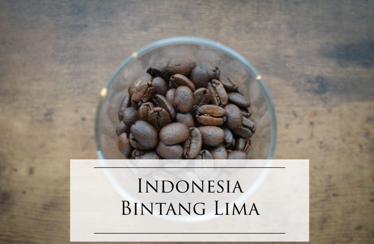  coffee bean Indonesia Mandheling bin tongue lima special ti coffee trial attaching 200g