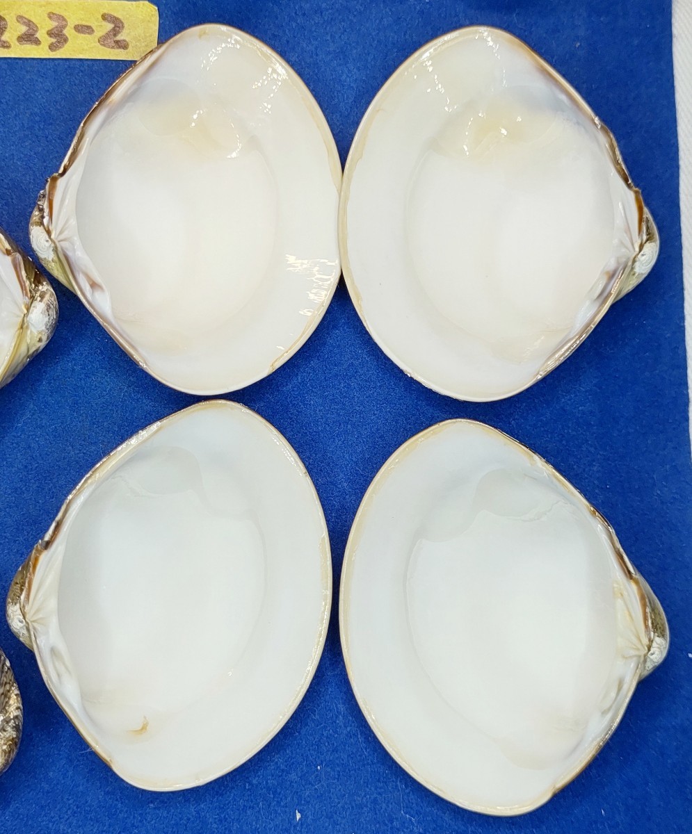 item_image_10