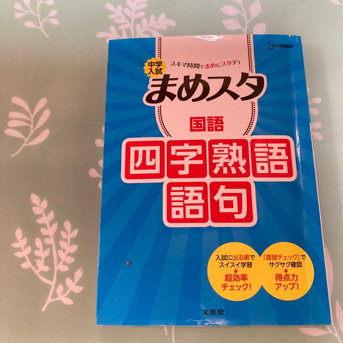 ワンコイン　四字熟語語句　中学入試　国語　スキマ時間でまめにスタディ　入試　復習