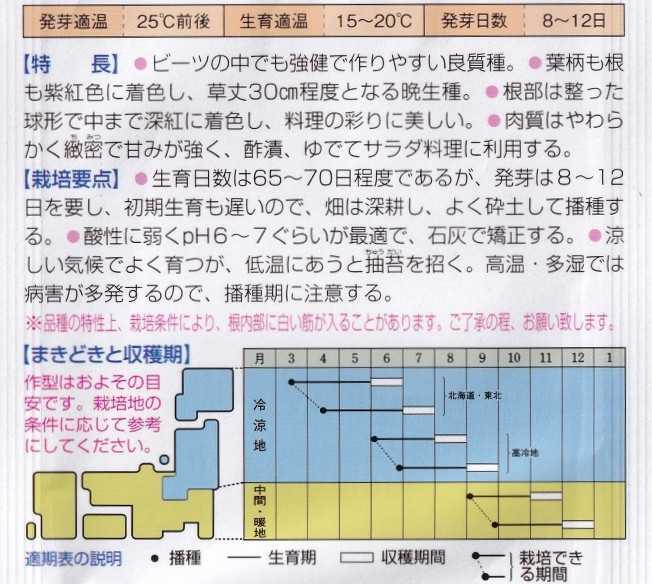 ビーツの種子 30粒 デトロイト・ダークレッド 食用ビーツ 深い紅色 ビート ベビーリーフとしても！ ビーツ_画像5