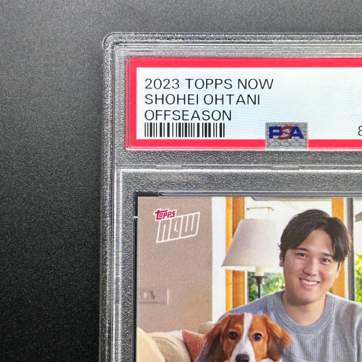 【PSA10】大谷翔平 MVP デコピン TOPPS NOW OS19