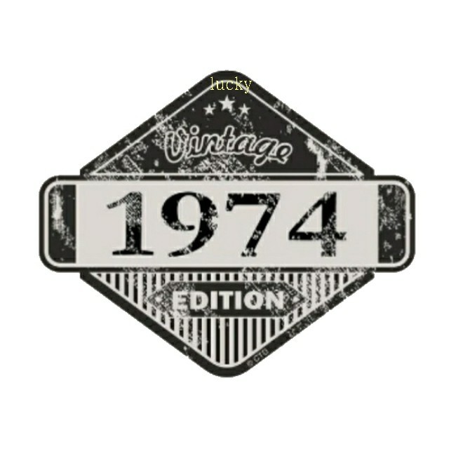 ヴィンテージ レトロ 転写 ステッカー 車 カッティングステッカー シール シート デカール Vintage 1974 アルミ 看板風 バイク 装飾_画像1