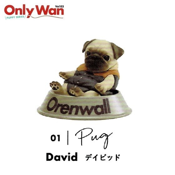 Only Wan Vol.03 -PUPPY SERIES- 「パグ David(デイビッド)」 ◇ 動物フィギュア ガチャ ガチャポン カプセルトイ 犬 置物_画像1