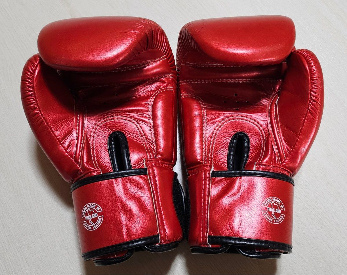 希少モデル】Fairtex フェアテックス ボクシンググローブ 10 希少モデル】Fairtex フェアテックス ボクシンググローブ 10