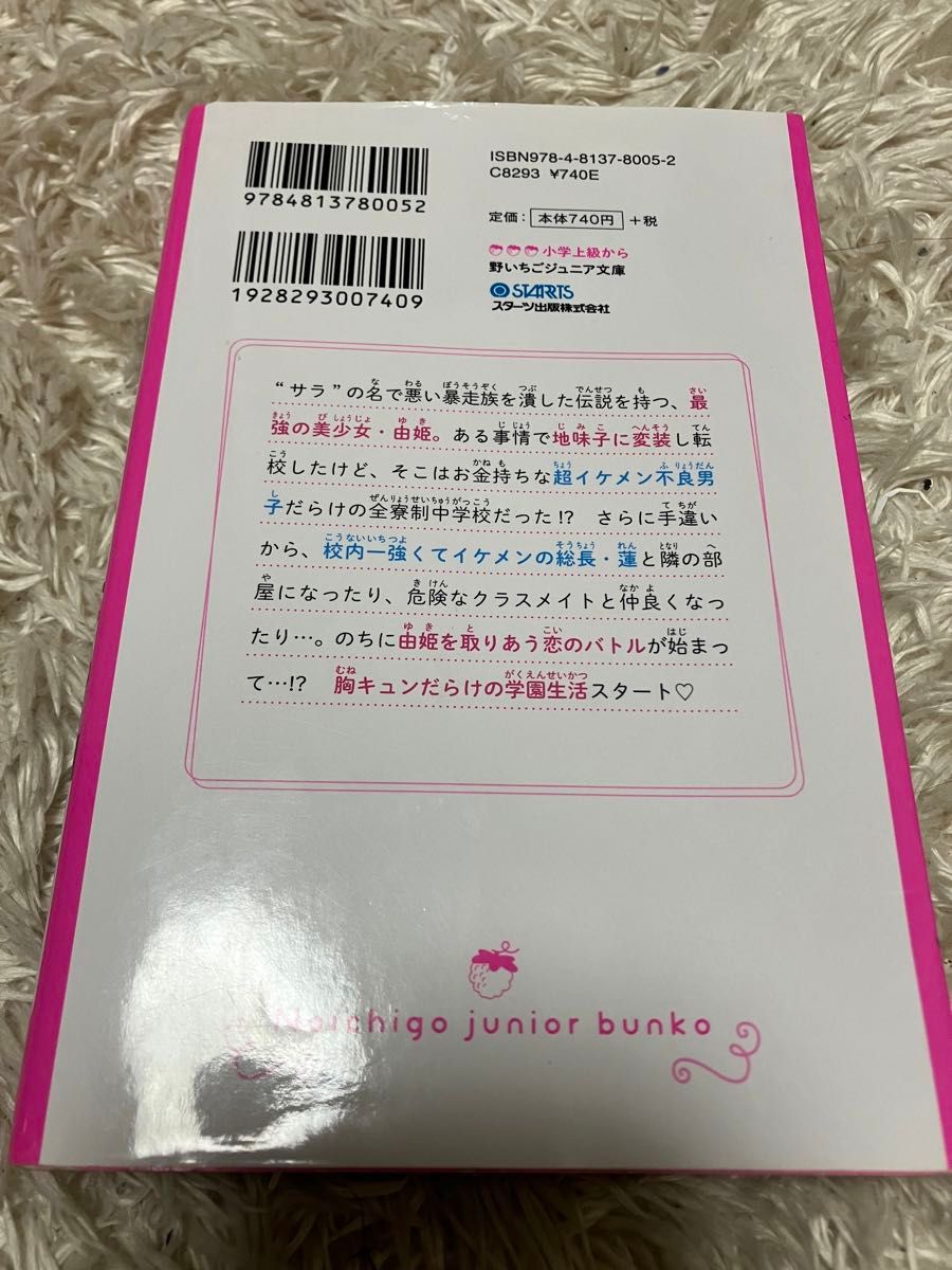 総長様溺愛中につき ① 1巻 野いちごジュニア文庫