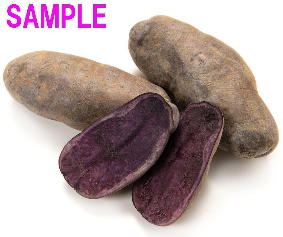 【送料無料】シャドークイーン 種芋 約1.3kg　紫じゃがいも　ジャガイモ　馬鈴薯　①_画像3