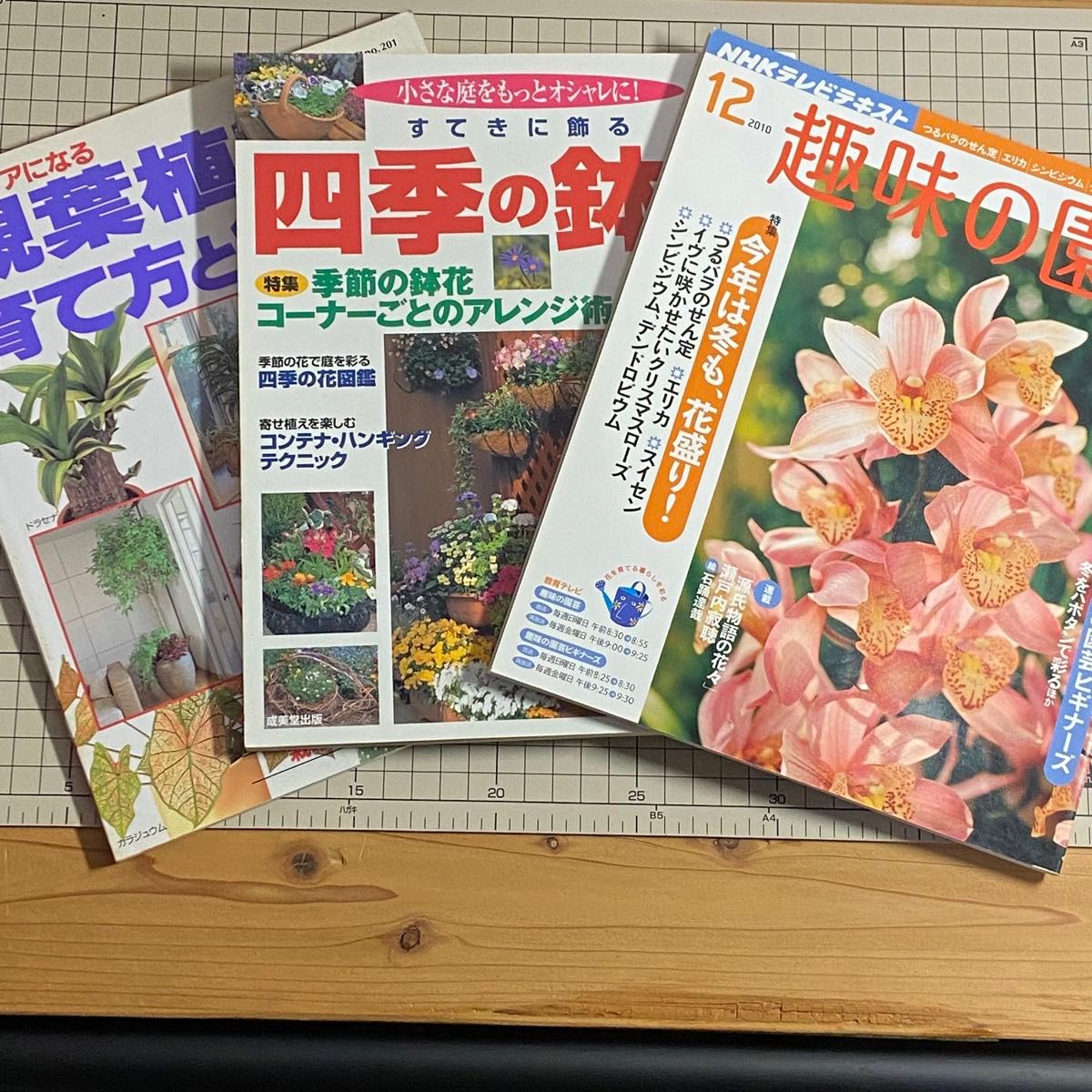 花　鉢花　庭木　園芸　観葉植物　庭づくり　ガーデニング　13冊　まとめ売り