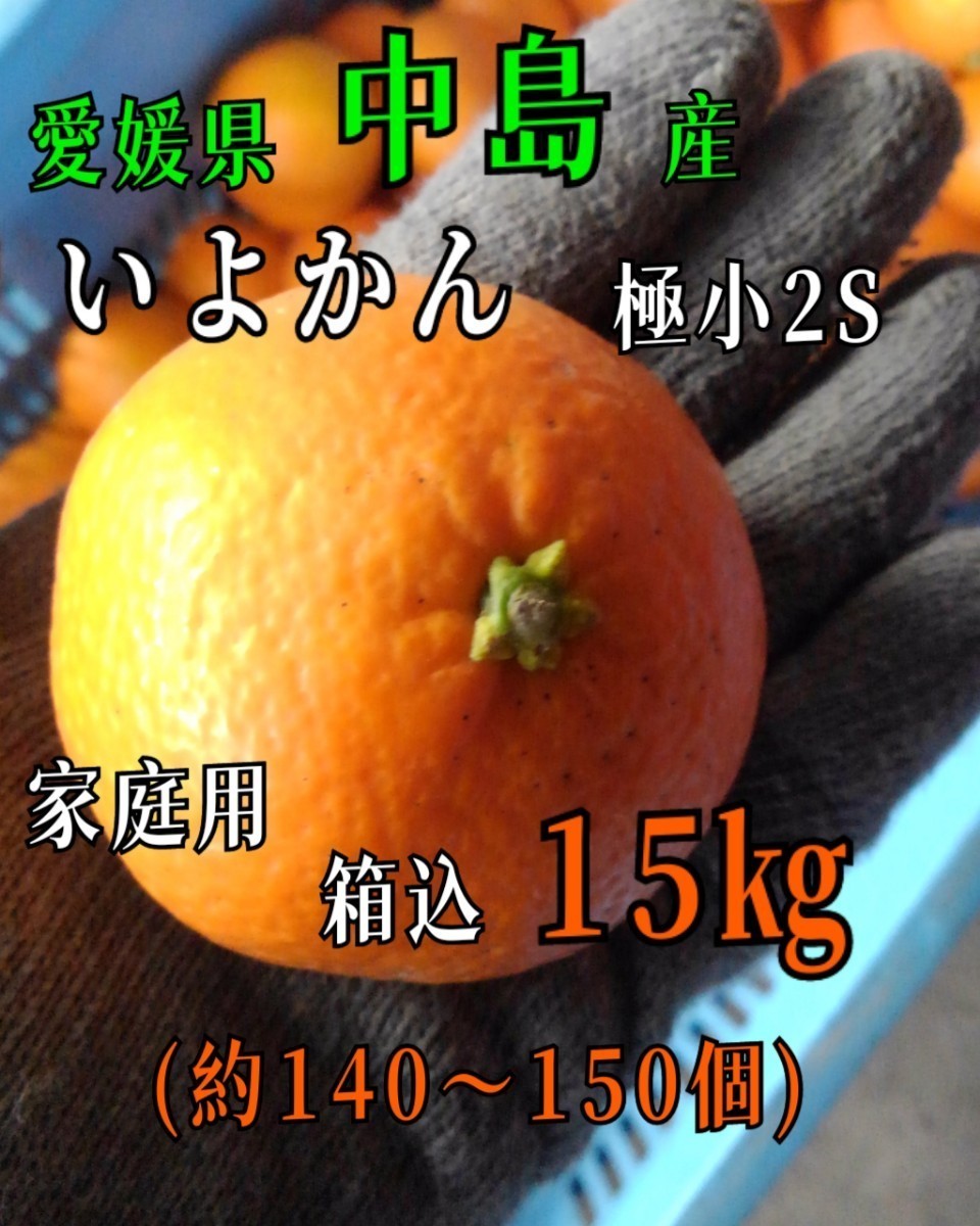 中島郵便局より発送！！愛媛県中島産いよかん家庭用極小2S箱込15㎏伊予柑産地直送④_画像1