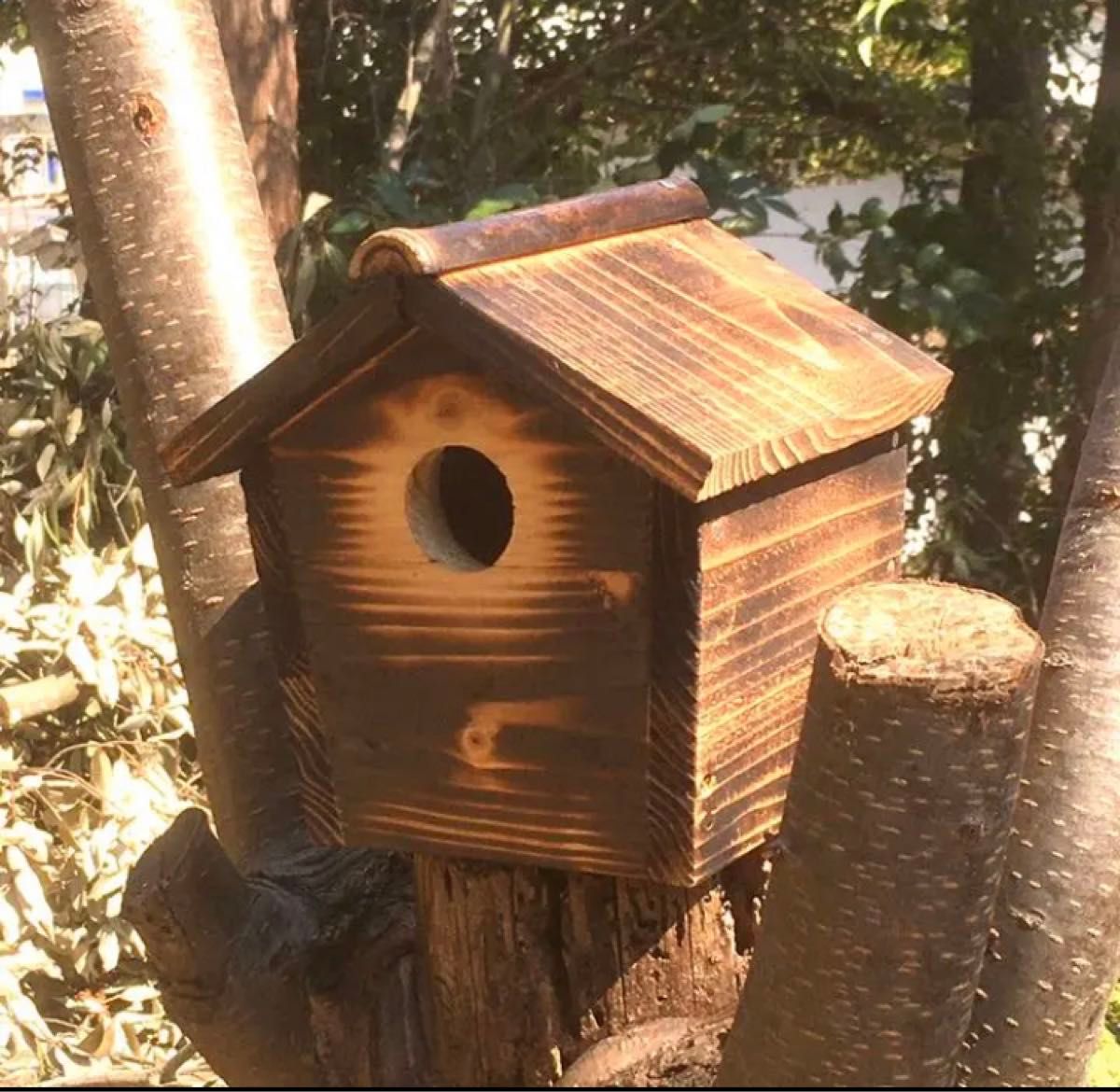 小鳥の巣箱R  野鳥  手作り　杉材　バードウオッチング