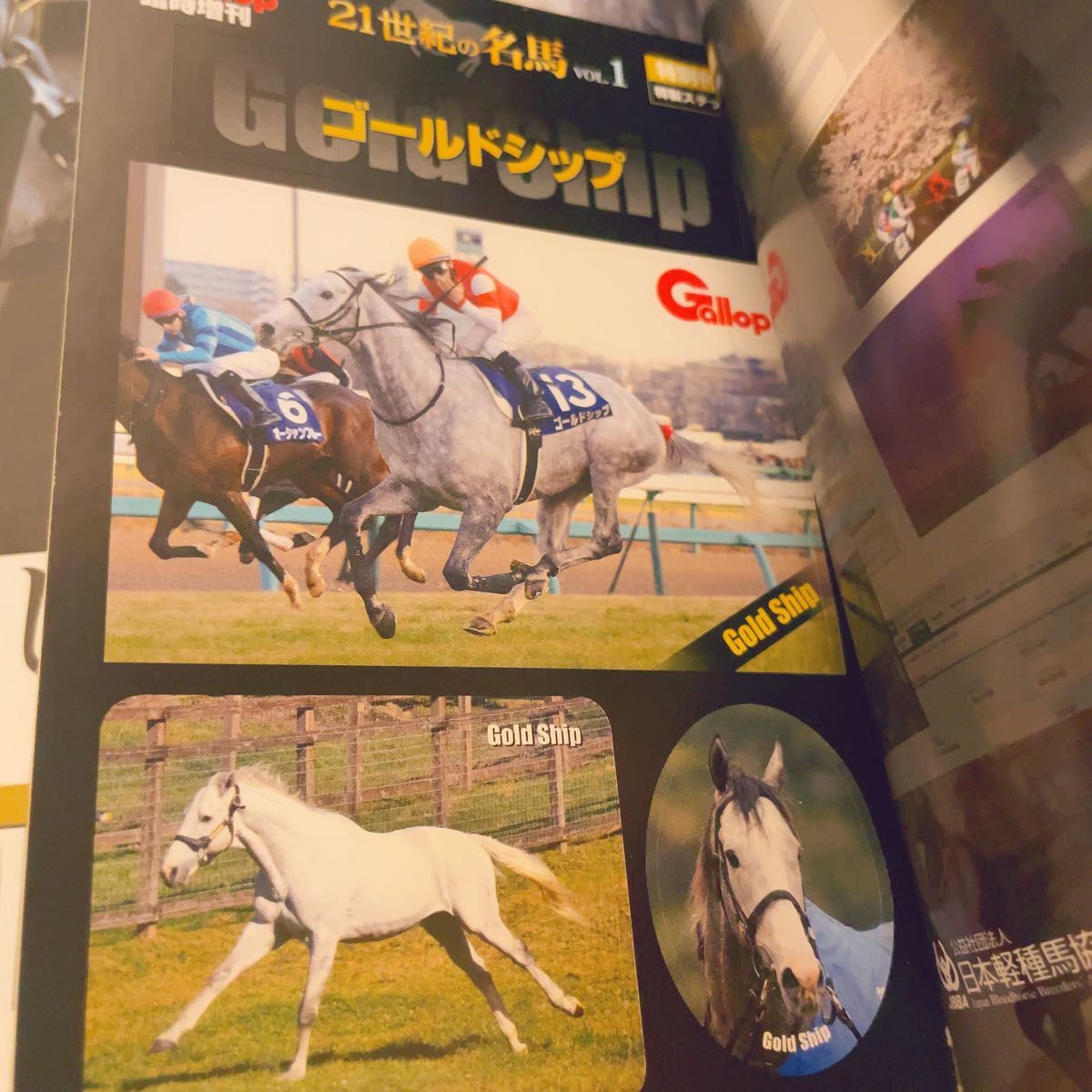 Gallop臨時増刊 21世紀の名馬 ゴールドシップ|Yahoo!フリマ(旧 Gallop臨時増刊 21世紀の名馬 ゴールドシップ|Yahoo!フリマ(旧