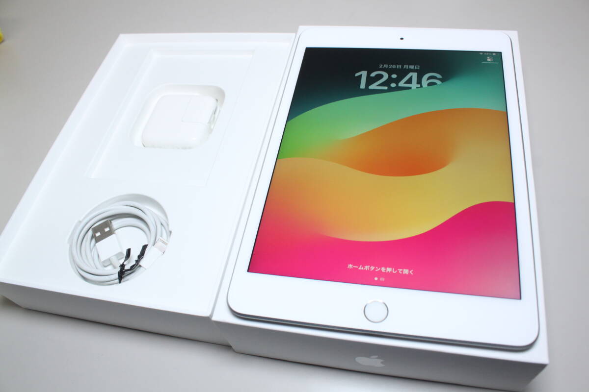 iPad mini（第5世代）Wi-Fi/64GB〈MUQX2J/A〉A2133 ⑥_画像1