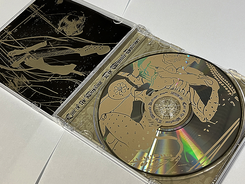 HE ULTIMATE DESTROYER / LAIR OF THE MINOTAUR 輸入盤 新品同様_画像2