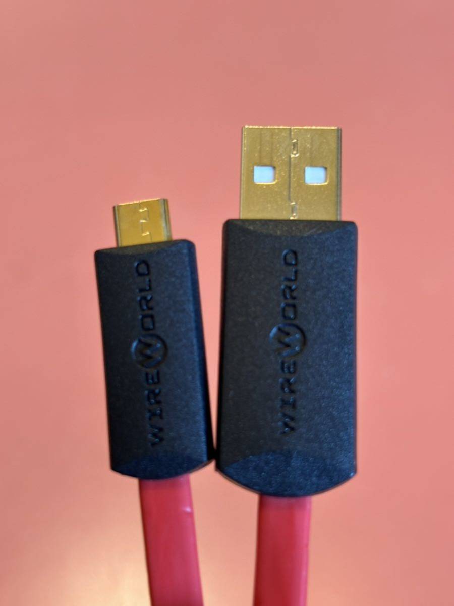 WireWorld Starlight 8 USB 2.0 オーディオケーブル 60cm A-MicroB 並行輸入品_画像3
