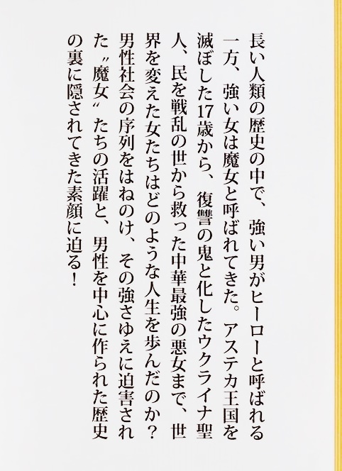 ★送料無料★ 『世界史の中のヤバい女たち』 魔女ラグネルの結婚 マリンチェ アマゾーン ジャンヌ・ダルク ナイチンゲール 黒澤はゆま 新書_画像3