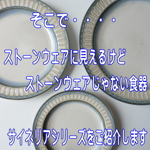 送料無料 サイネリア 21cm パスタ皿 ５枚 セット レンジ可 食洗機対応 美濃焼 日本製 北欧風 深皿 洋食器_画像4