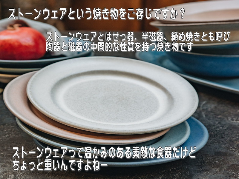 送料無料 サイネリア 21cm パスタ皿 ５枚 セット レンジ可 食洗機対応 美濃焼 日本製 北欧風 深皿 洋食器_画像3