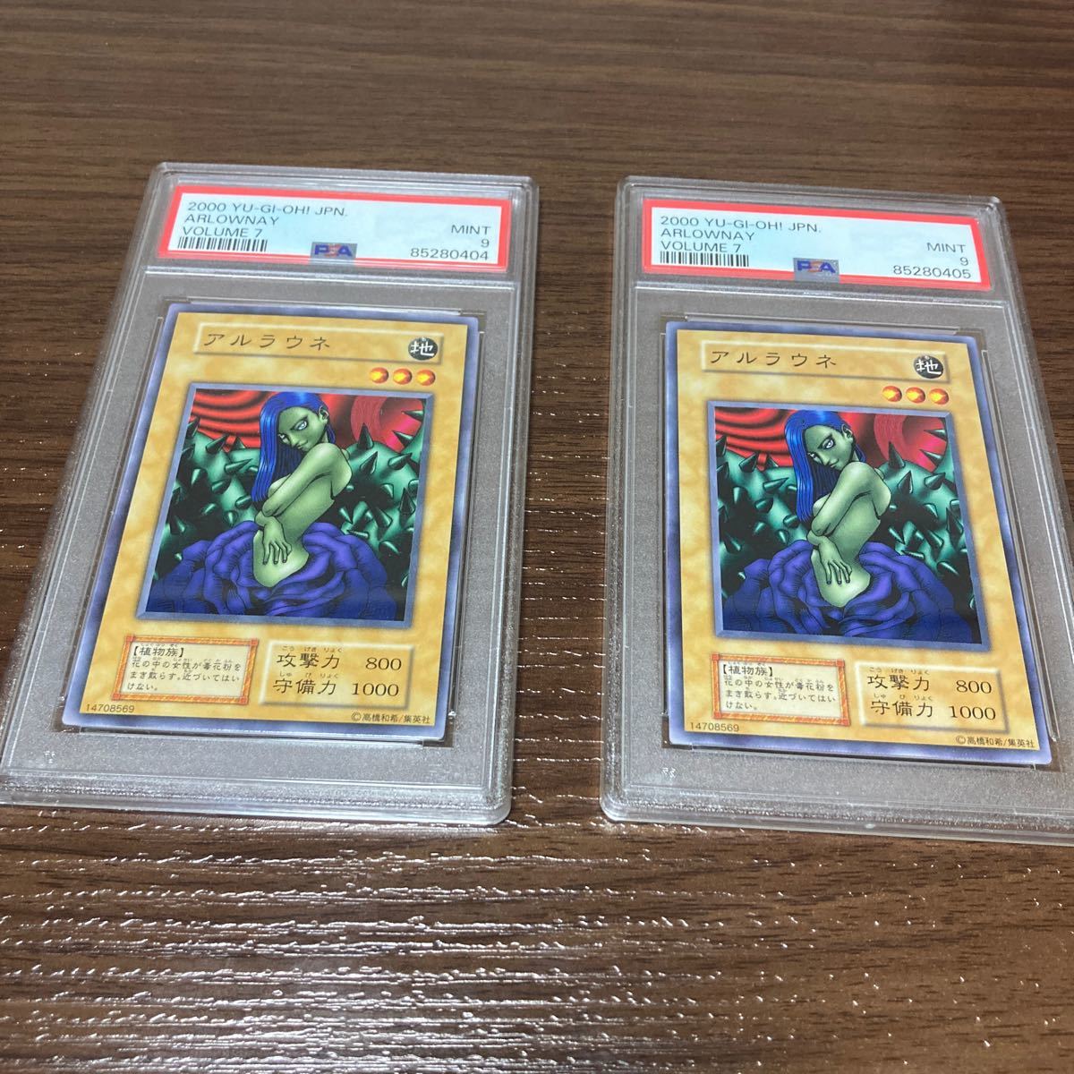 6300円 PSA9 連番 遊戯王 アルラウネ 初期 ノーマル Vol.7 2枚 6300円 PSA9 連番 遊戯王 アルラウネ 初期 ノーマル Vol.7 2枚